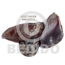 Ra unpolished violet oyster shells Ra unpolished violet oyster shells