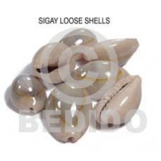 Loose sigay shells no Loose sigay shells no