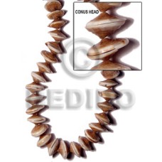 Conus head Conus head