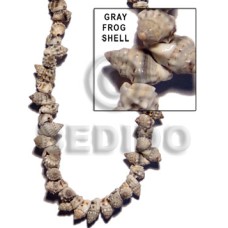 Frog shell gray Frog shell gray