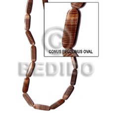 Conus pegulinus oval back Conus pegulinus oval back