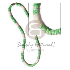 Green white clam combination Green white clam combination