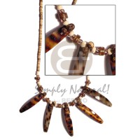 2-3 coco heishe tiger