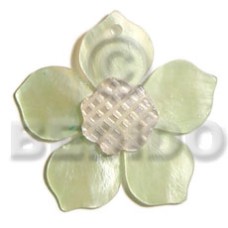45mm light green hammershell flower