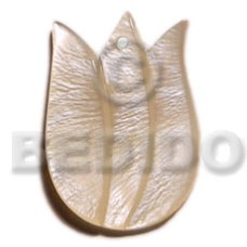 Tulip hammershell 40mm Tulip hammershell 40mm