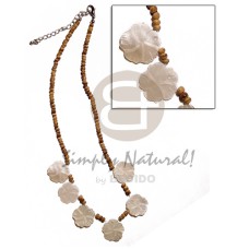 2-3mm coco pokalet. tiger 2-3mm coco pokalet. tiger