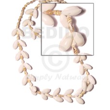 Bubble shell nassa white