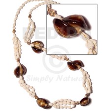 Kaput shell nassa white Kaput shell nassa white