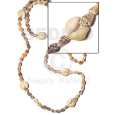 Sigay- tiger nassa Sigay- tiger nassa