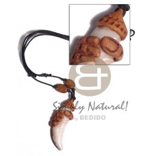 50mm cowrie tiger shell