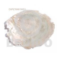 Ra unpolished capiz shells Ra unpolished capiz shells