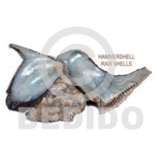 Ra unpolished hammershells per Ra unpolished hammershells per