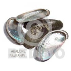 Ra unpolished abalone shells Ra unpolished abalone shells