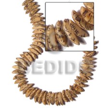 Buri seed tiger quarter moon Buri seed tiger quarter moon