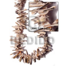 Liswe tusk shell