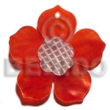 Red 25mm hammershell flower Red 25mm hammershell flower