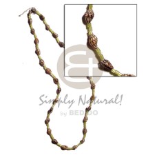 Nassa tiger glass Nassa tiger glass